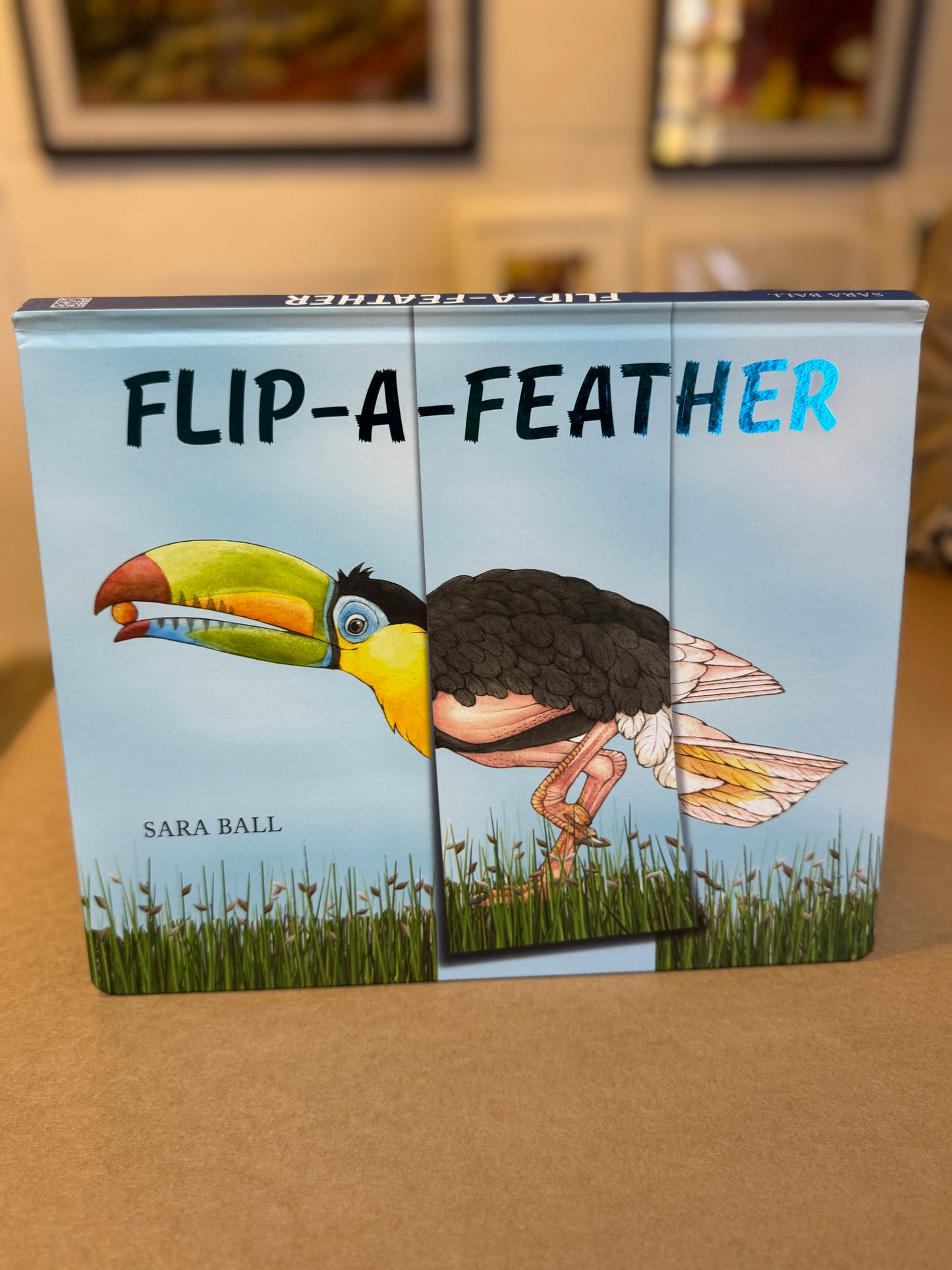 Flip A Feather by Sara Ball